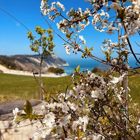 Agriturismo Conero Анкона Екстер'єр фото