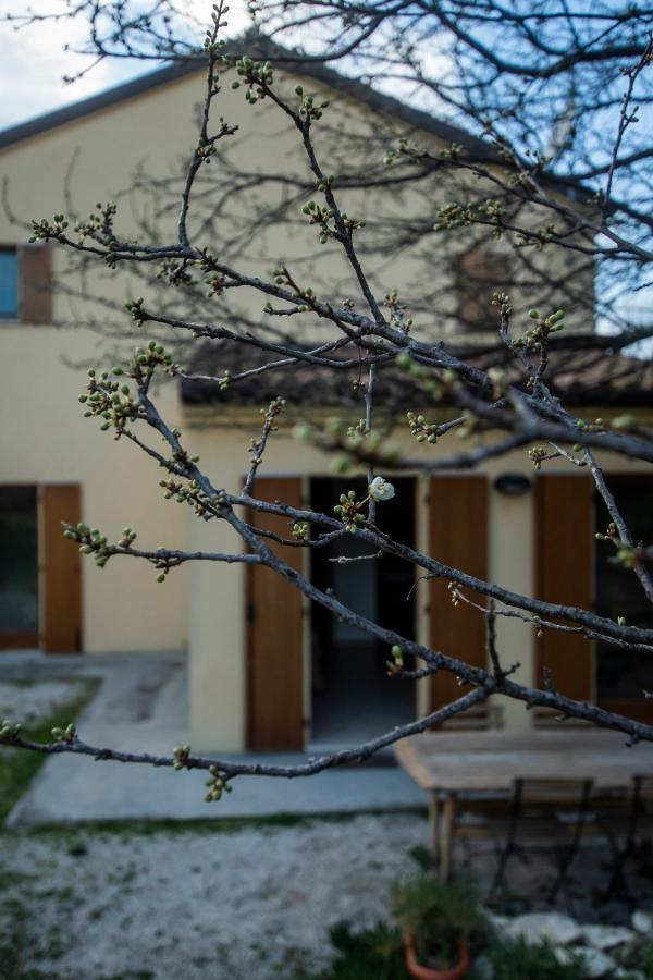 Agriturismo Conero Анкона Екстер'єр фото