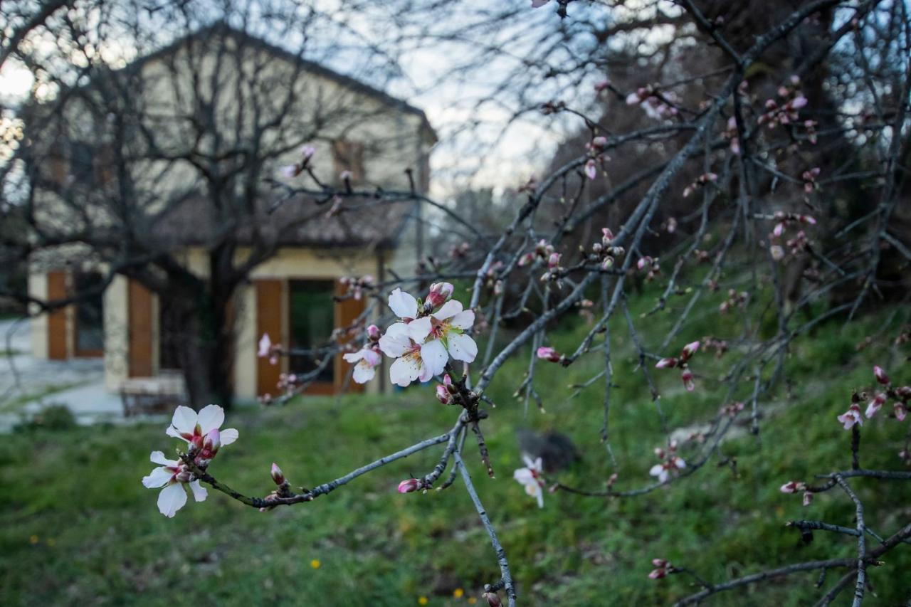 Agriturismo Conero Анкона Екстер'єр фото